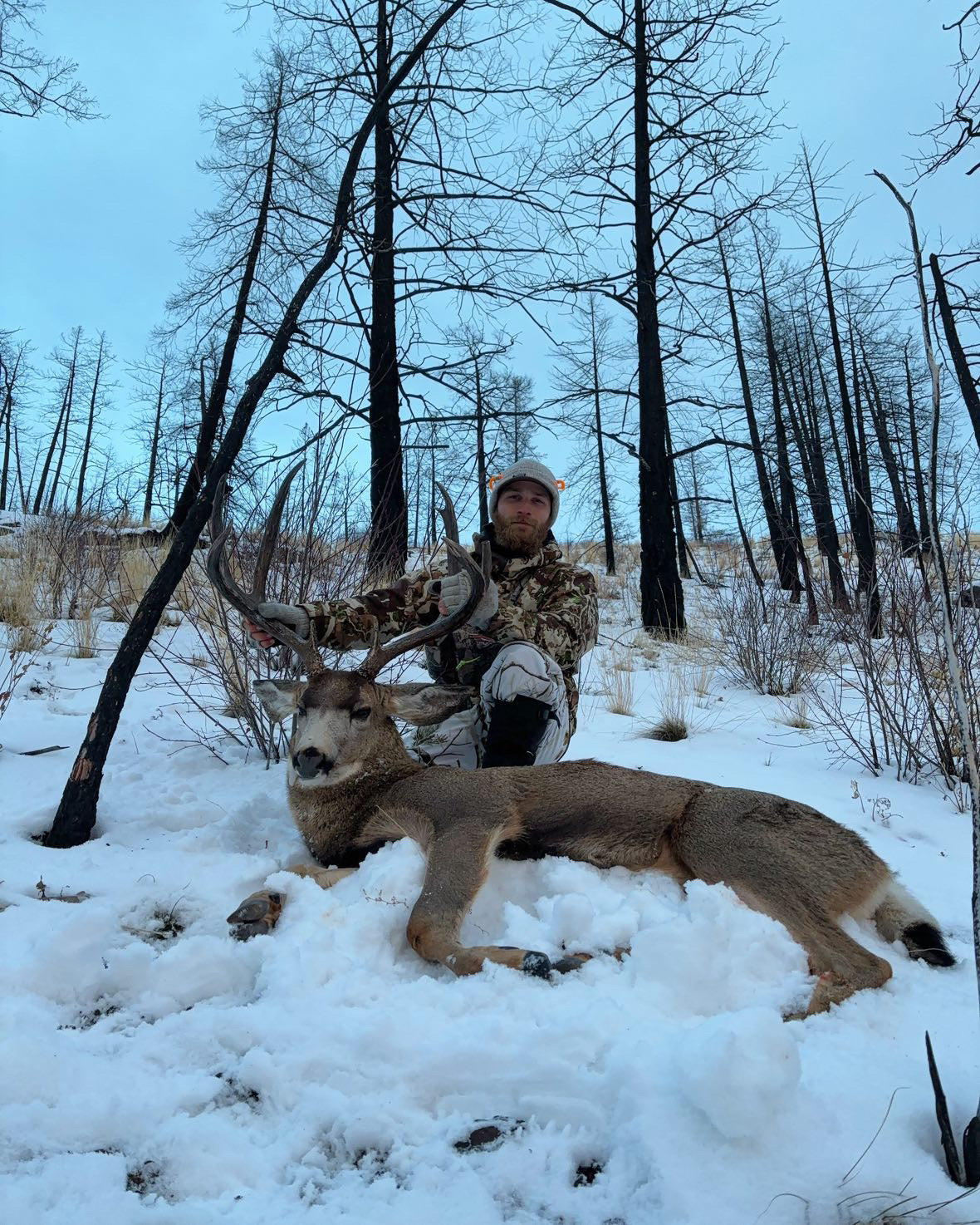Person in camouflage clothing with a large deer in a snowy forest