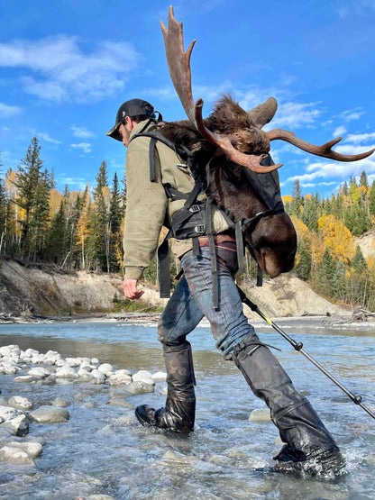 Person carrying a large animal carcass with antlers across a river in a forested area.