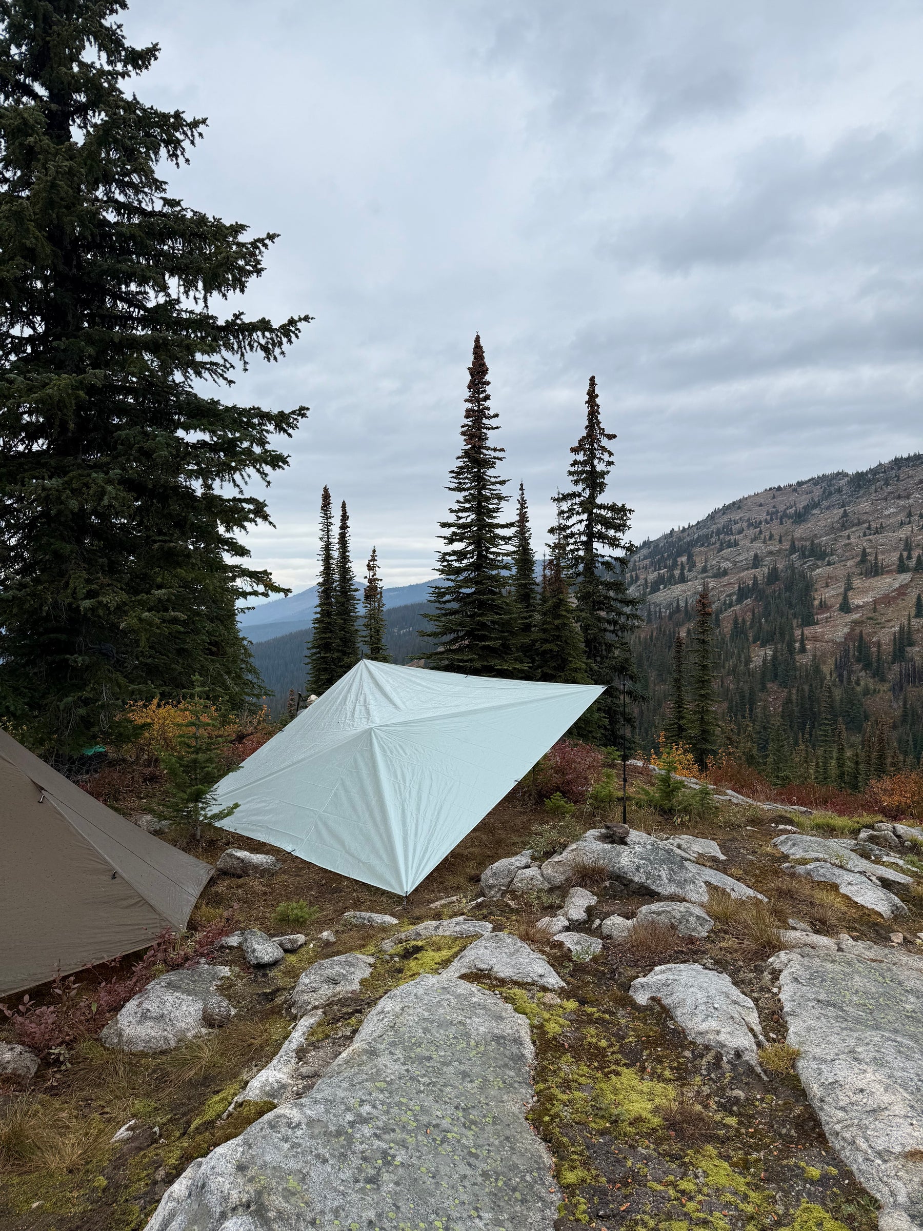 Canopy 2 tarp