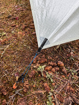 Canopy 2 tarp